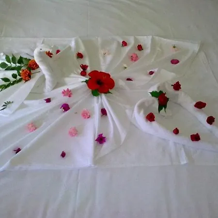 Hotel Varol 3*